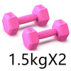 Dumbbells Female Fitness Equipment