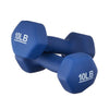 Hexagonal Frosted Dumbbell Fitness Equipment